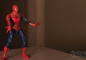 Spider