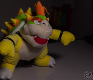 Bowser